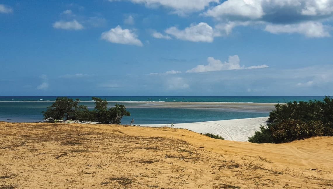 Guriu, Brazil