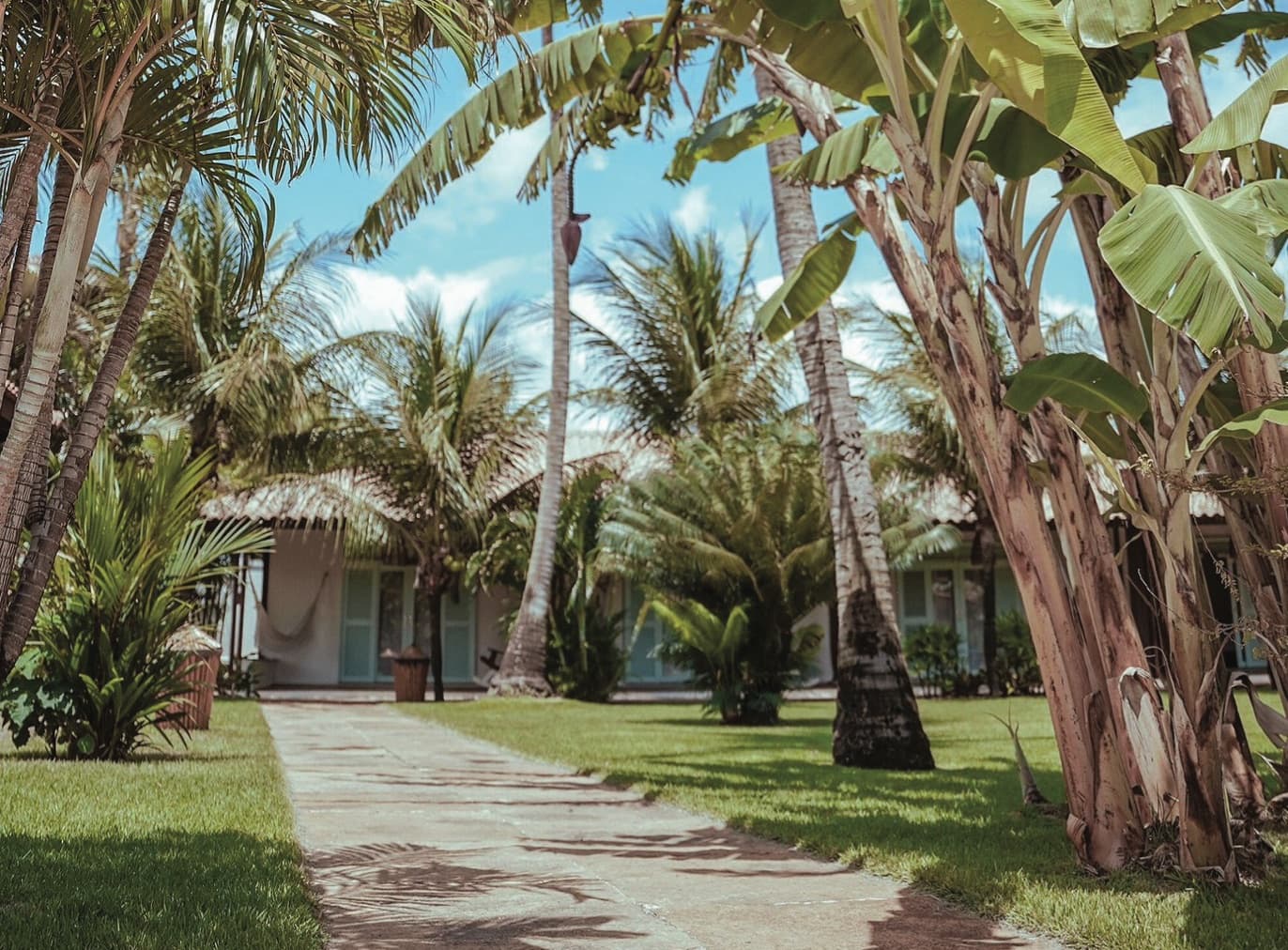 Tropical garden at the accommodation